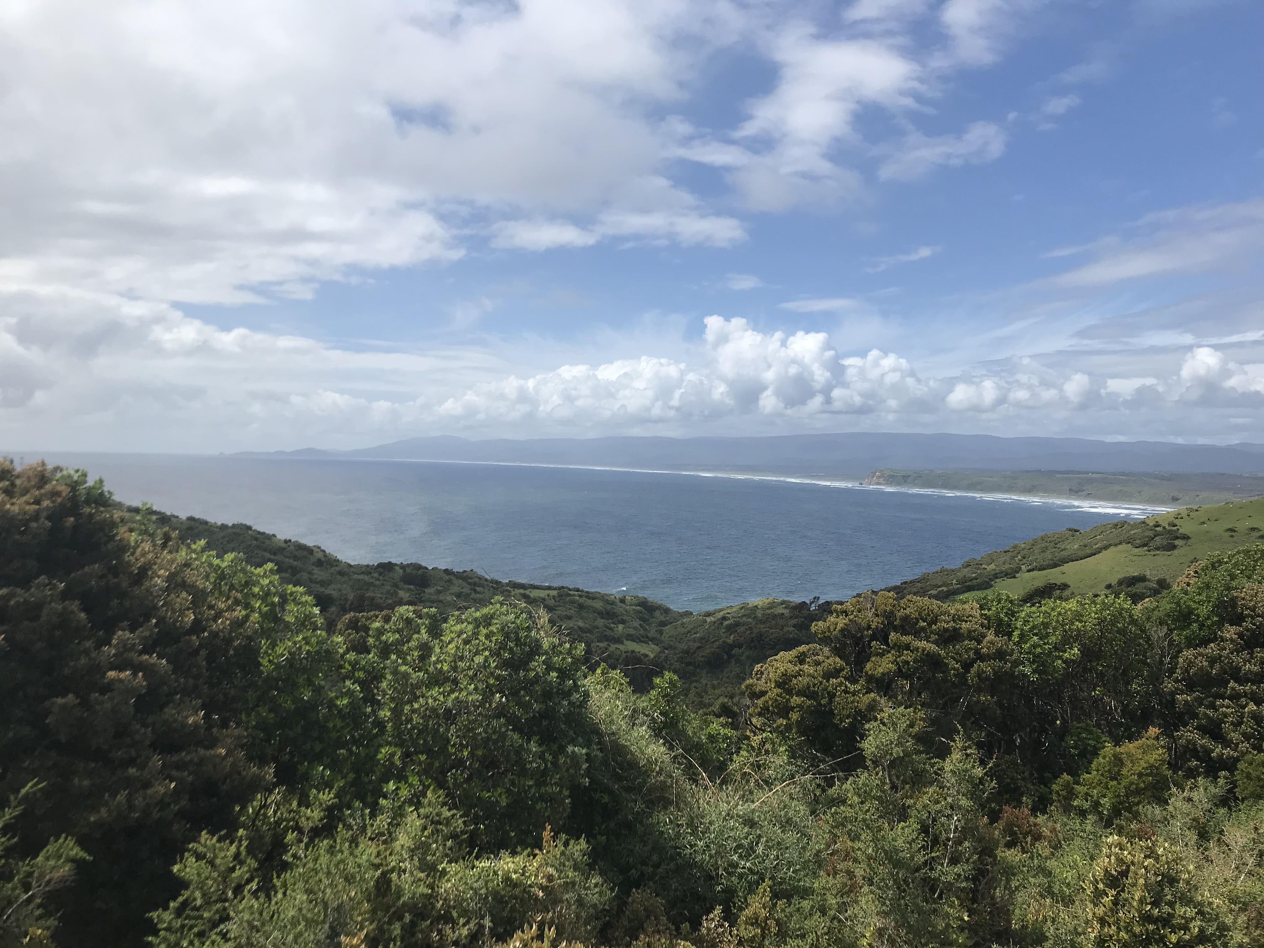 Vista panorámica de la línea de costa y los acantilados verdes