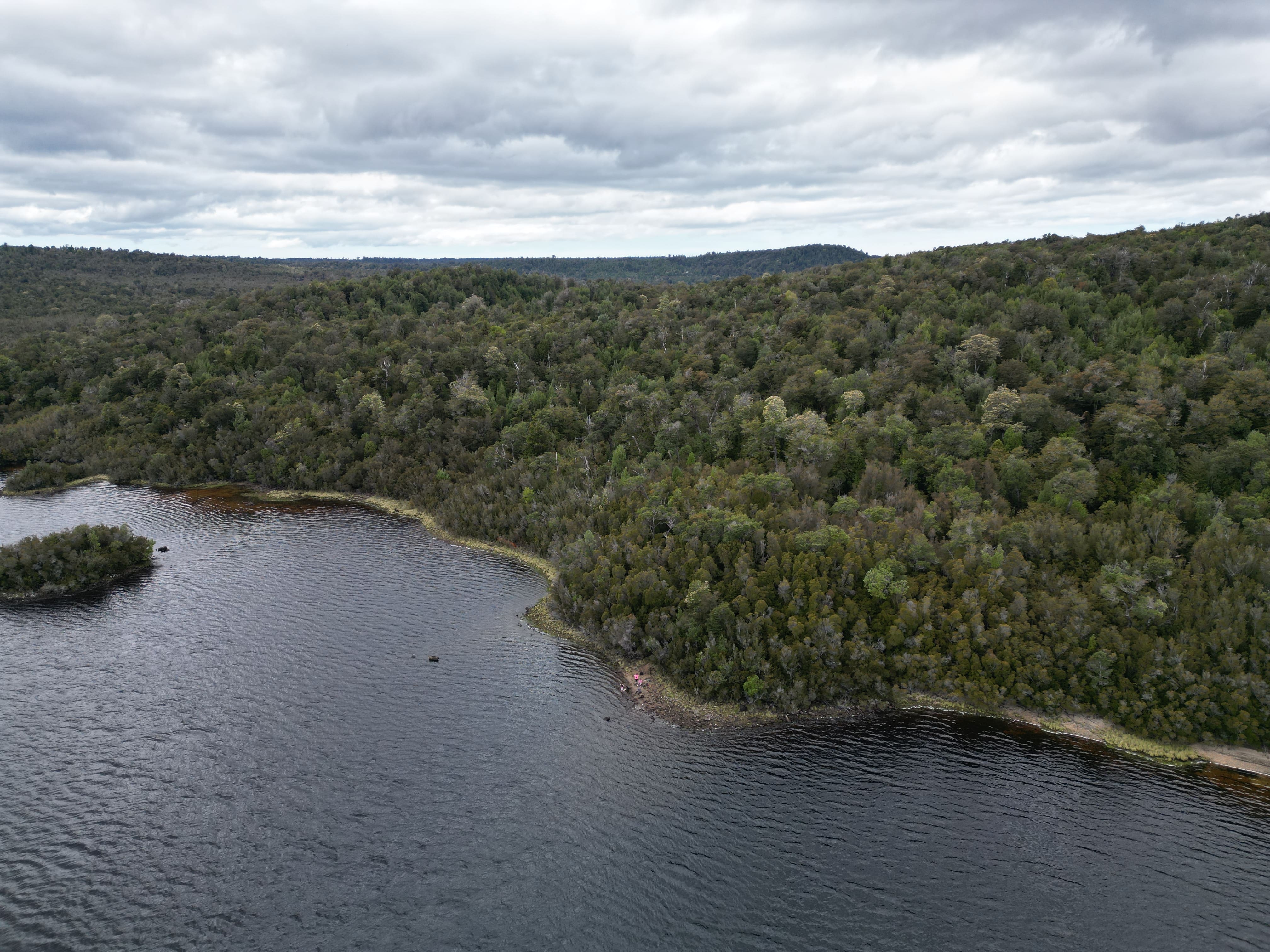 Vista aérea de la costa del lago y bosque nativo