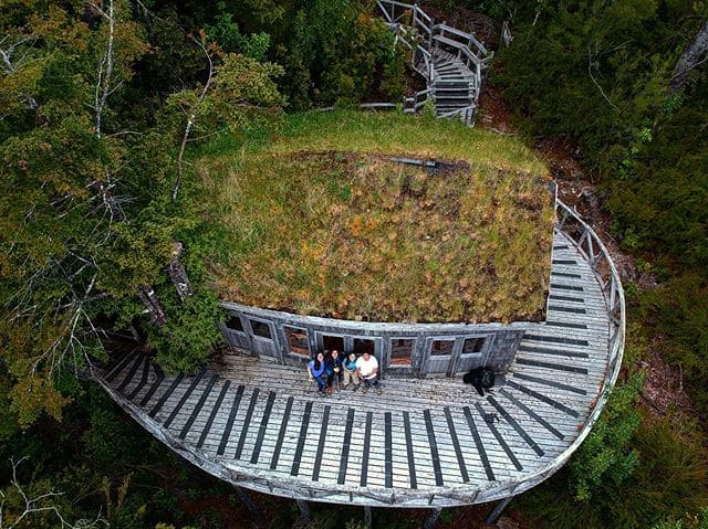 Mirador y refugio arquitectónico con techo verde en el Parque Tantauco