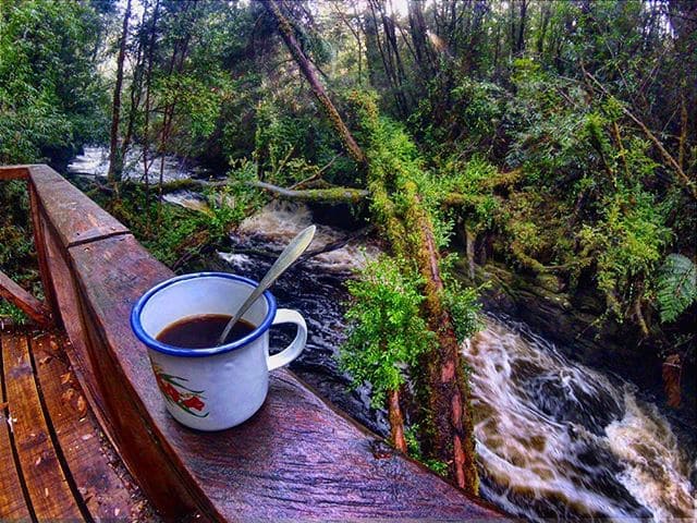 Pausa para tomar un café caliente junto a un torrencial río del parque