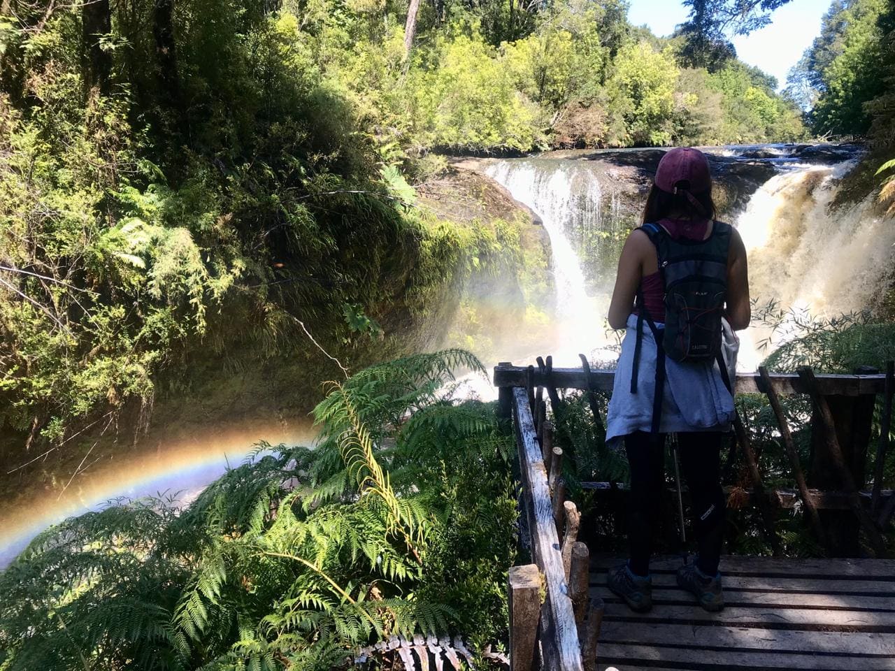 Trekking Parque Tepuhueico